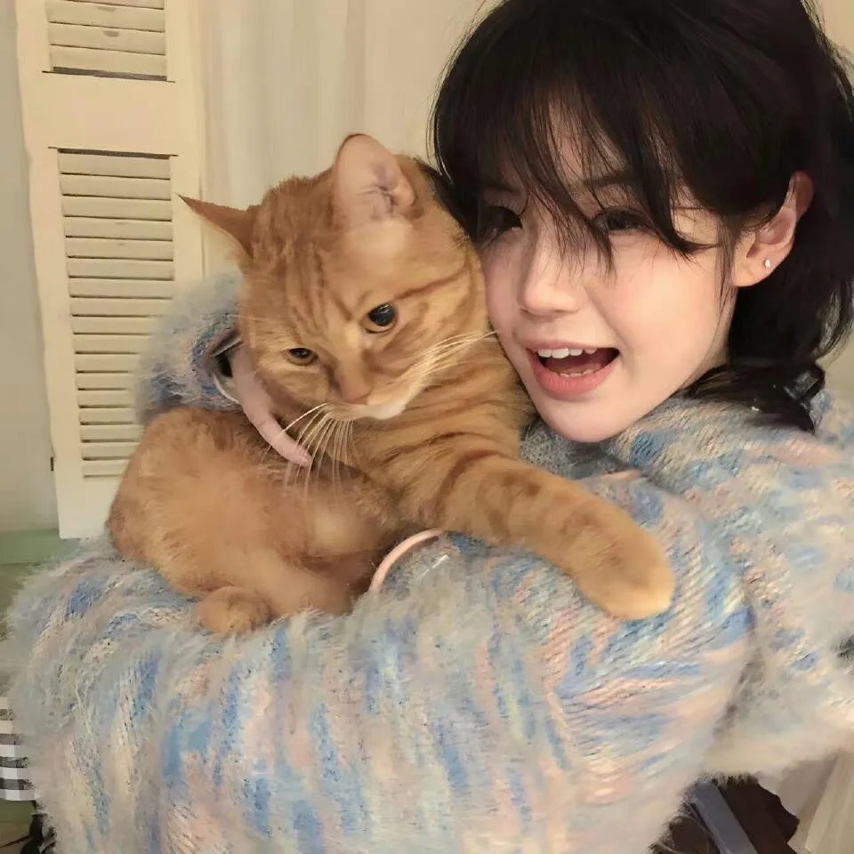 Teppachi 铁钵 钢盔